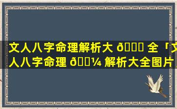 文人八字命理解析大 🐋 全「文人八字命理 🐼 解析大全图片」